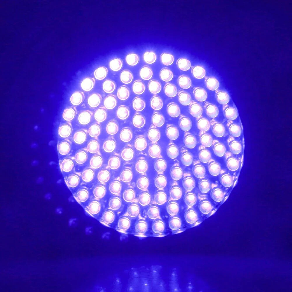 OptiBeam™️ UV Ultraviolet Blacklight Inspection Lamp