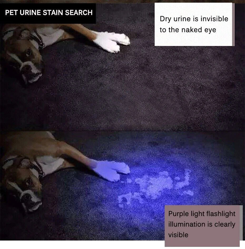 OptiBeam™️ UV Ultraviolet Blacklight Inspection Lamp